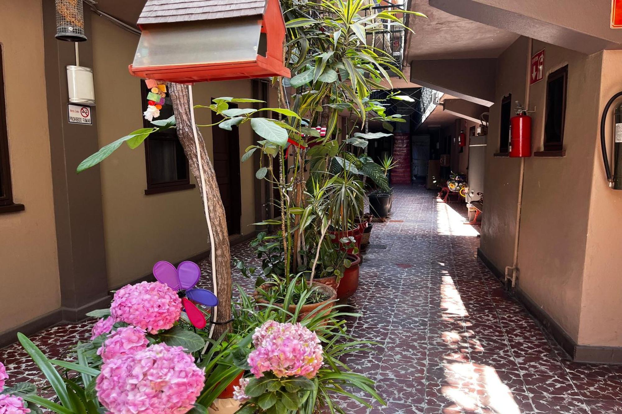 Oyo Hotel Linda Tijuana Eksteriør billede