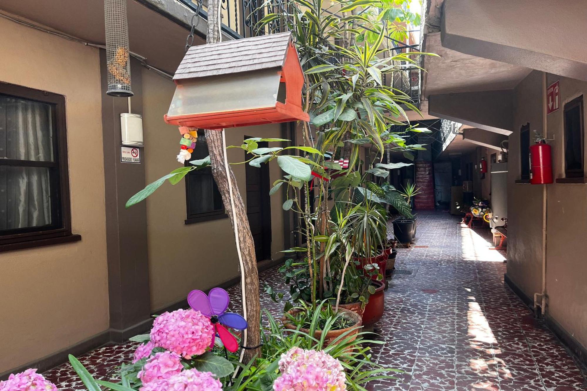 Oyo Hotel Linda Tijuana Eksteriør billede